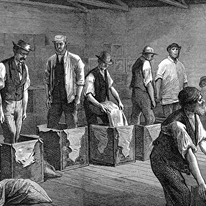 Packing tea in the warehouses of the East & West India Dock Company, London, 1874
