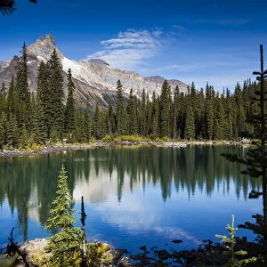 Mountain Range and Alpine Lake Lined with Evergreen Trees, Lake O Hara, Yoho National Park, British Columbia, Canada