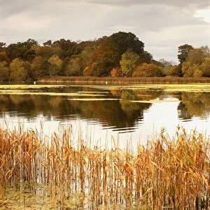 Northumberland, England; Water And The Shoreline In Autumn