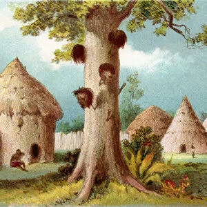 A War Tree With Decapitated Heads Skewered To Its Trunk, In An African Village In The 19Th Century. From The Life And Explorations Of Dr. Livingstone Published C. 1875