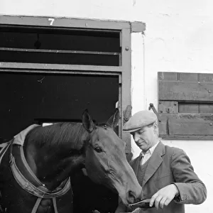 A day in the life of Arkle. Eating his oats and drinking his Guinness