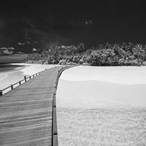 Abstract black and white beach landscape, tropical nature. Artistic resort with wooden jetty into paradise island. Dramatic island, shore, coast with