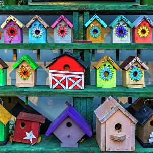 Colorful Bird houses