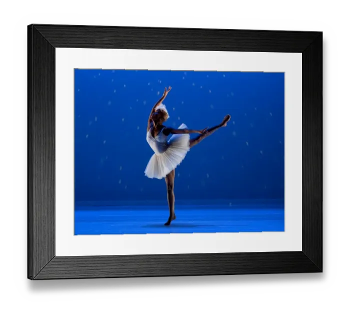  : Us-Dance-Dada Masilo Swan Lake