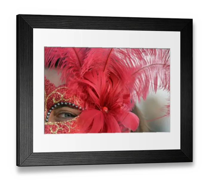 Framed Print : A costumed reveller poses on Saint Marks square during the carnival on February 21 Framed Print : A costumed reveller poses on Saint Marks square during the carnival on February 21