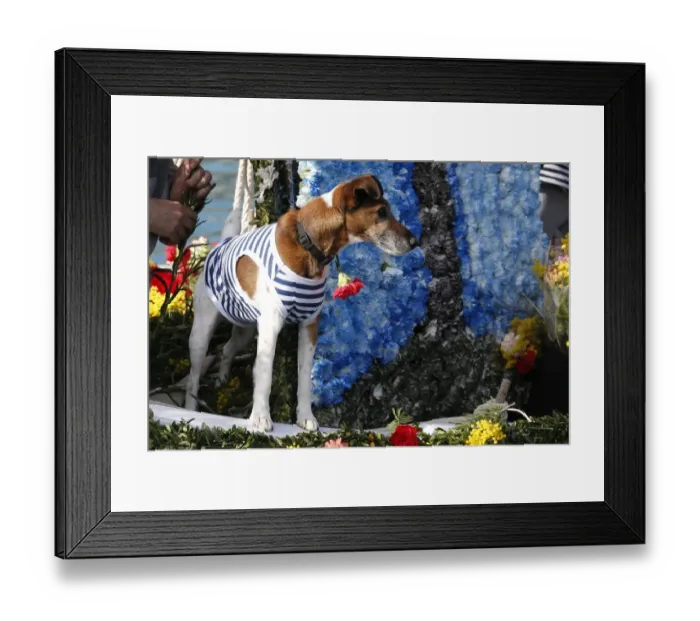 Framed Print : France-Carnival-Festival-Flowers Framed Print : France-Carnival-Festival-Flowers