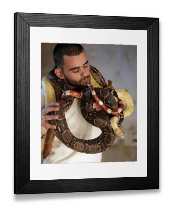 Framed Print : Palestinian-Animals-Snakes-Offbeat Framed Print : Palestinian-Animals-Snakes-Offbeat