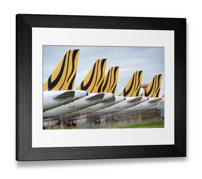 Framed Print : Australia-Singapore-Aviation-Tiger