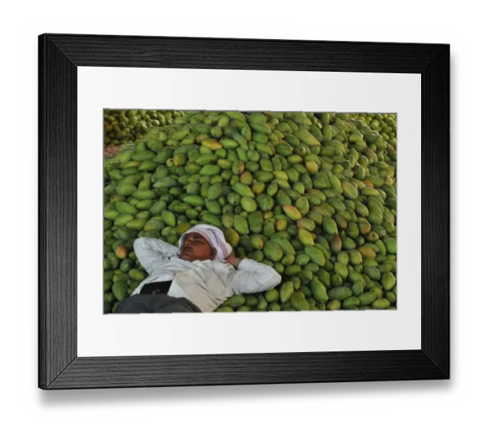 Framed Print : India-Economy-Agriculture-Mango