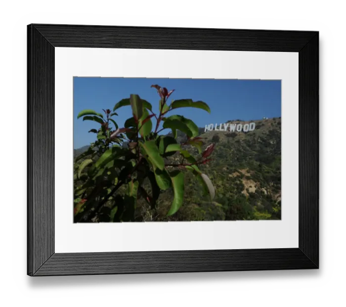 Framed Print : Us-Entertainment-Tourism-Architecture Framed Print : Us-Entertainment-Tourism-Architecture