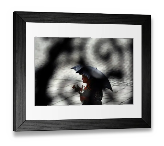 Framed Print : Photo taken through a metal gate shows an elderly woman shading herself from Framed Print : Photo taken through a metal gate shows an elderly woman shading herself from