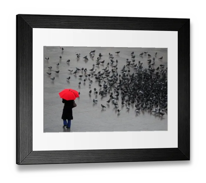 Framed Print : Turkey-Rain-Feature