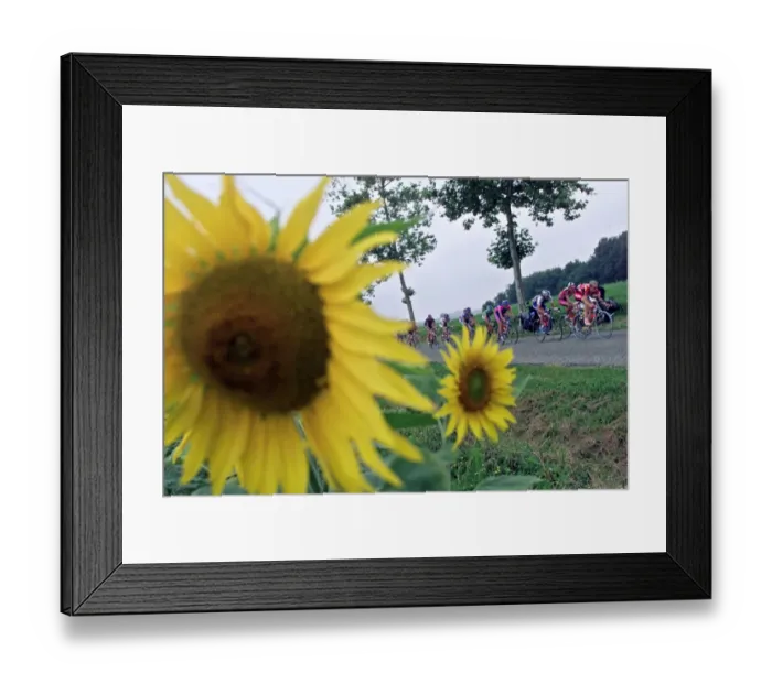 Framed Print : Cyclisme-Tdf2001-Peloton