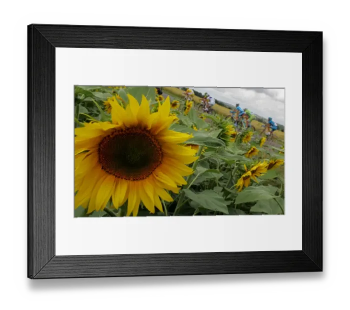 Framed Print : Cycling-Tdf2006-Boonen Framed Print : Cycling-Tdf2006-Boonen