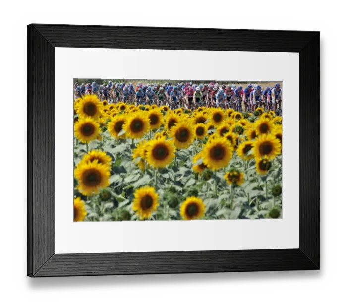 Framed Print : Cycling-Tdf2006-Postcard