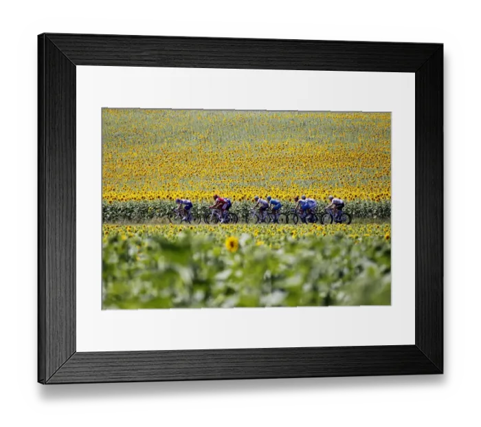 Framed Print : Cycling-Fra-Tdf-2010-Breakaway-Postcard