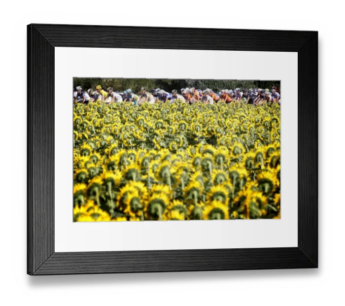 Framed Print : Topshots-Cycling-Fra-Tdf-2010-Pack-Postcard Framed Print : Topshots-Cycling-Fra-Tdf-2010-Pack-Postcard