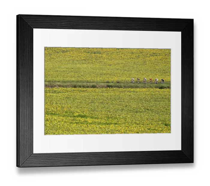 Framed Print : Cycling-Fra-Tdf2011-Breakaway-Postcard