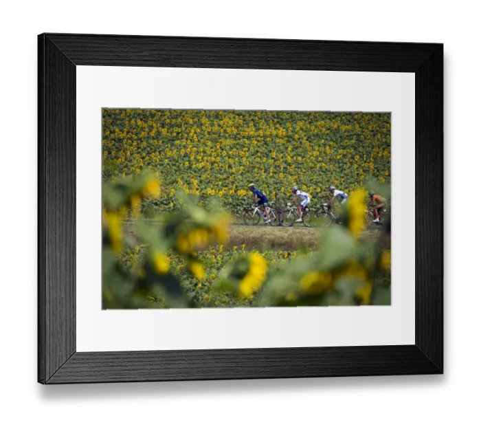 Framed Print : Cycling-Fra-Tdf2011-Breakaway-Postcard Framed Print : Cycling-Fra-Tdf2011-Breakaway-Postcard
