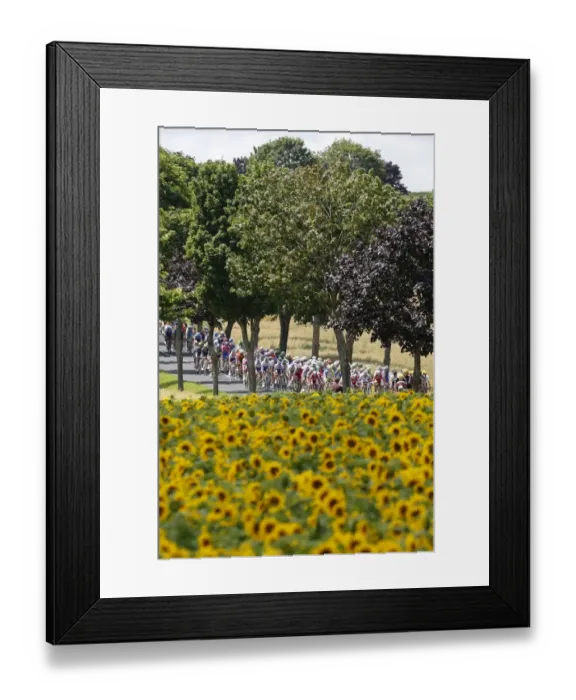 Framed Print : Cycling-Fra-Tdf2012-Pack-Postcard Framed Print : Cycling-Fra-Tdf2012-Pack-Postcard