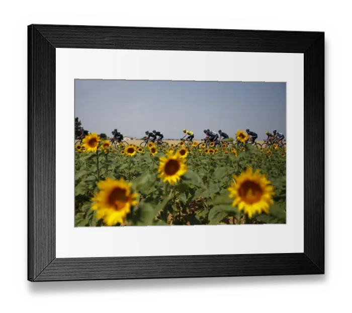 Framed Print : Cycling-Fra-Tdf2013-Pack-Postcard Framed Print : Cycling-Fra-Tdf2013-Pack-Postcard