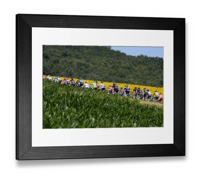 Framed Print : Cycling-Fra-Tdf2014-Postcard