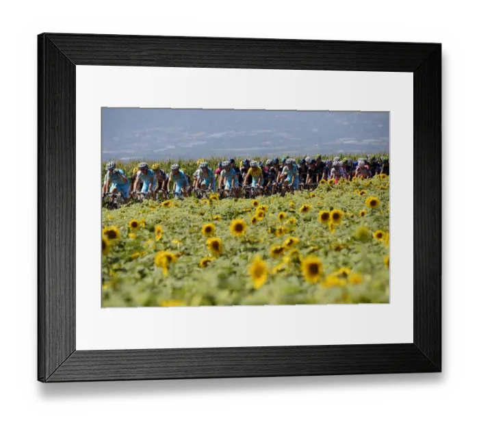 Framed Print : Cycling-Fra-Tdf2014-Postcard