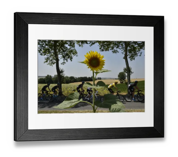 Framed Print : Cycling-Fra-Tdf2015-Pack-Postcard