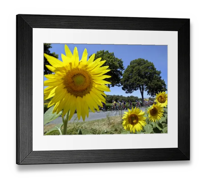 Framed Print : Tdf2003-Postcard