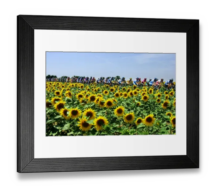 Framed Print : Cycling-Tdf2005-Pack Framed Print : Cycling-Tdf2005-Pack