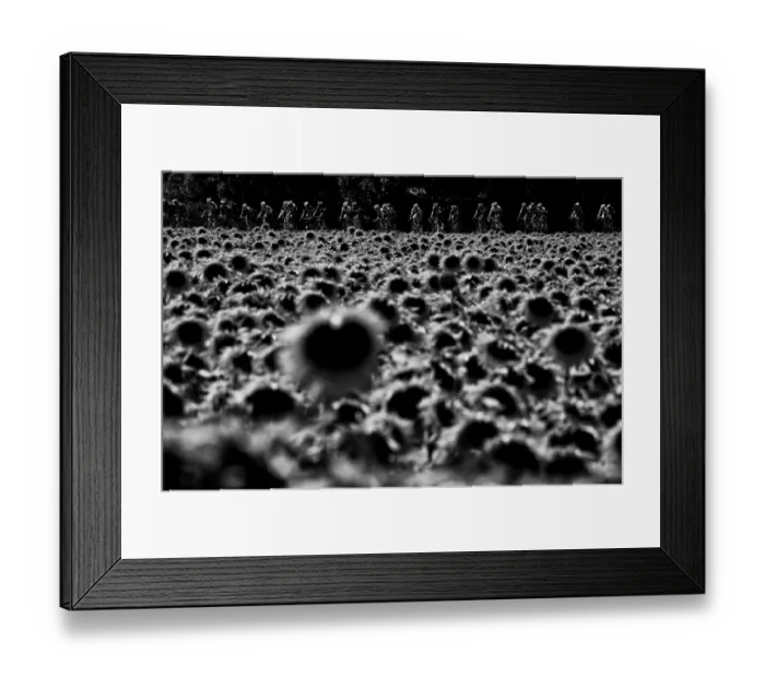 Framed Print : Tour De France 2015 Pack Framed Print : Tour De France 2015 Pack