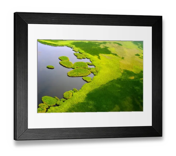Framed Print : Sudan-Swamps-Sudd