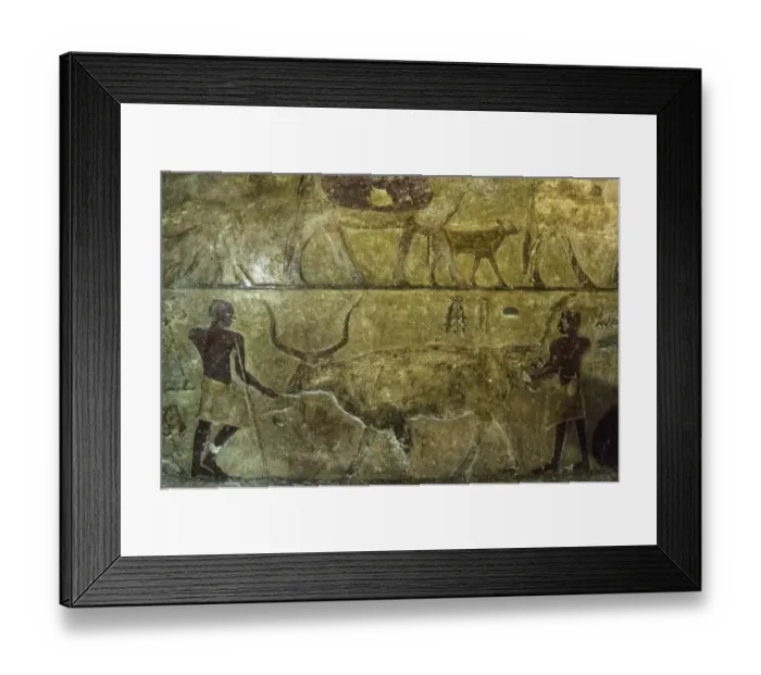 Framed Print : Egypt-Archaeology Framed Print : Egypt-Archaeology