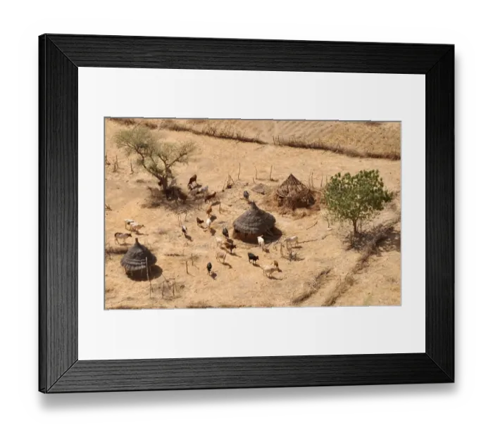 Framed Print : Chad-Eufor-Shepherd Framed Print : Chad-Eufor-Shepherd