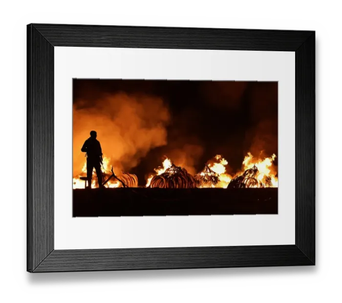 Framed Print : Kenya-Ivory-Wildlife-Fire Framed Print : Kenya-Ivory-Wildlife-Fire