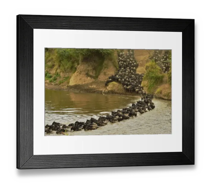 Framed Print : Kenya-Tourism-Migration Framed Print : Kenya-Tourism-Migration