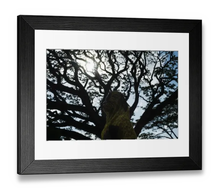 Framed Print : Tanzania-Lifestyle-Weather-Feature Framed Print : Tanzania-Lifestyle-Weather-Feature