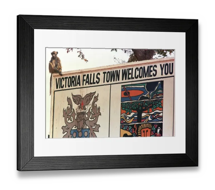 Framed Print : Zimbabwe-Summit-Monkey Framed Print : Zimbabwe-Summit-Monkey