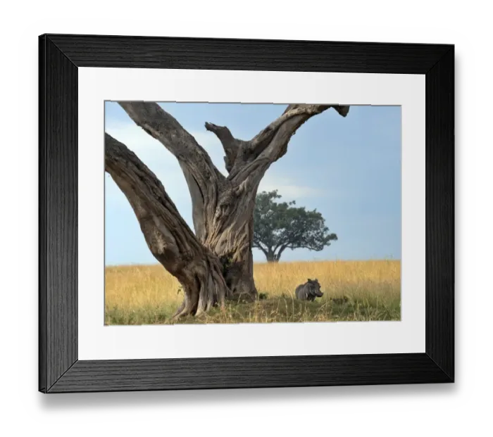 Framed Print : Kenya-Tourism-Warthog Framed Print : Kenya-Tourism-Warthog