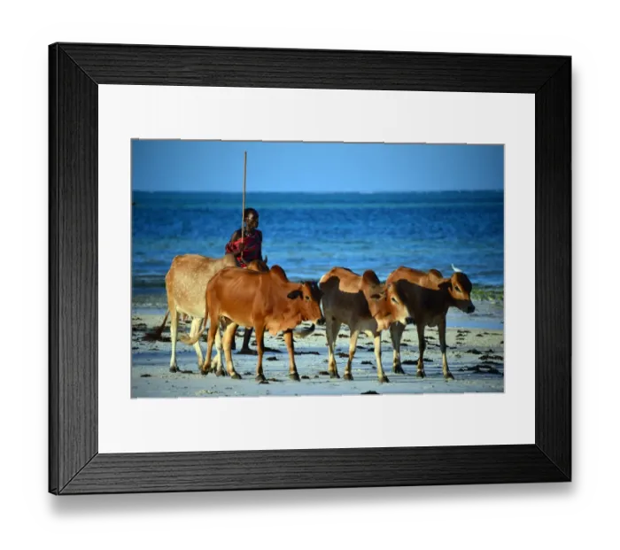 Framed Print : Tanzania-Zanzibar-Theme-Tourism