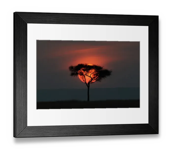 Framed Print : Kenya-Tourism-Nature-Sunset