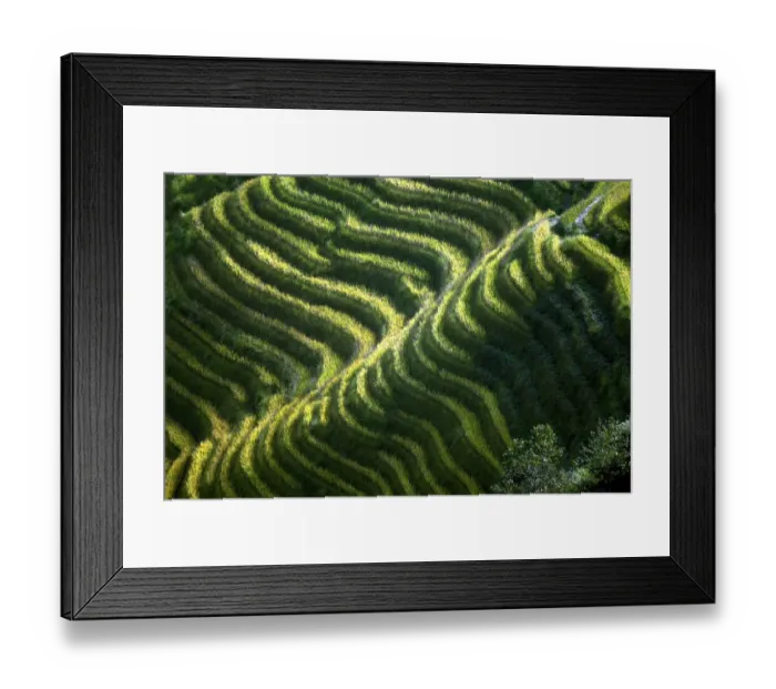 Framed Print : China-Minorities-Rice-Terraces Framed Print : China-Minorities-Rice-Terraces