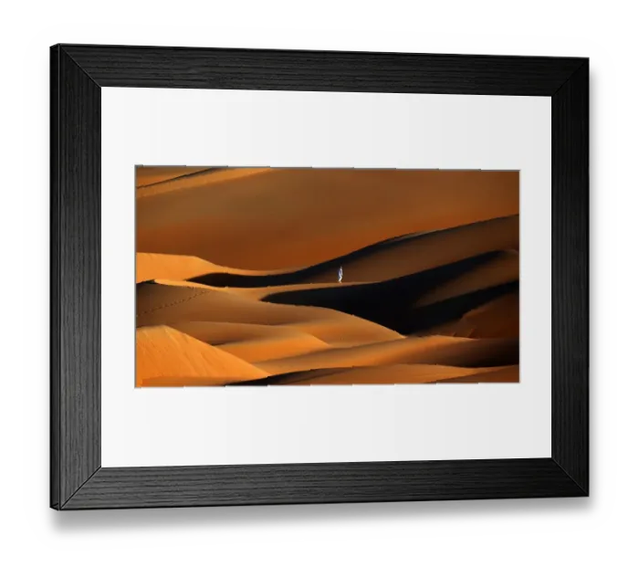 Framed Print : Correctiong-Uae-Camel-Desert-Nature-Tourism Framed Print : Correctiong-Uae-Camel-Desert-Nature-Tourism