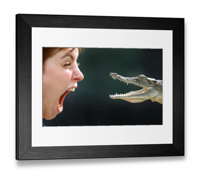 Framed Print : Australia-Wildlife-Crocodile
