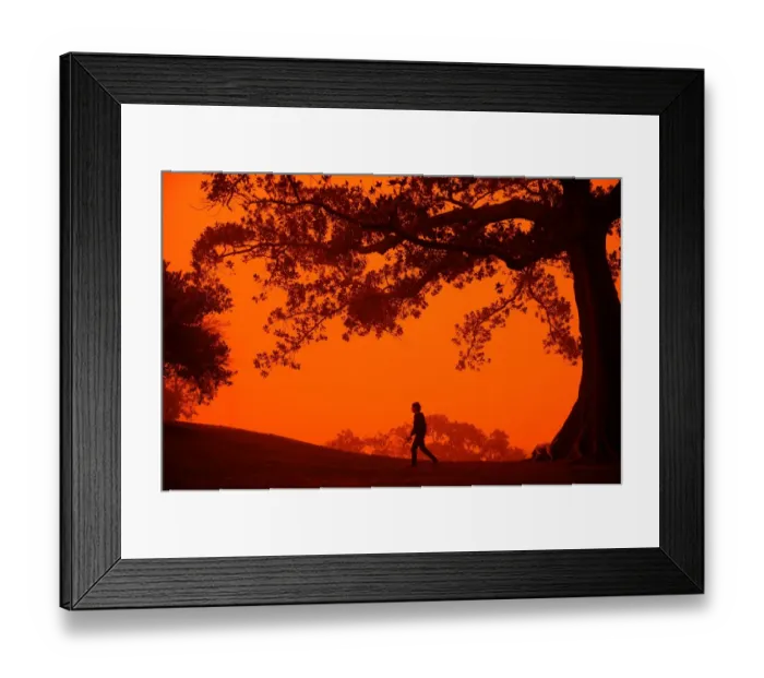 Framed Print : Australia-Weather-Dust-Dog