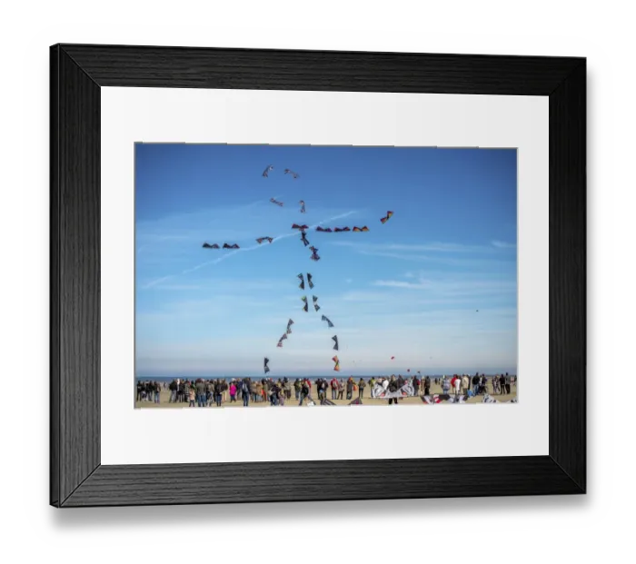Framed Print : France-Leisure-Kites Framed Print : France-Leisure-Kites