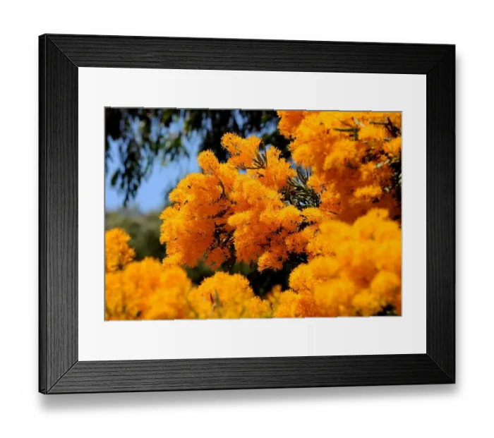 Framed Print : Australia-Summer