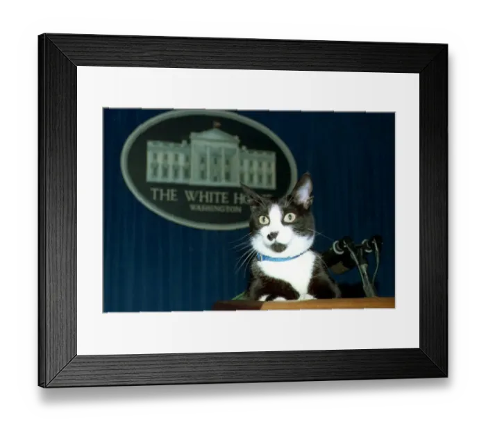 Framed Print : Us-Socks the Cat-White House Framed Print : Us-Socks the Cat-White House