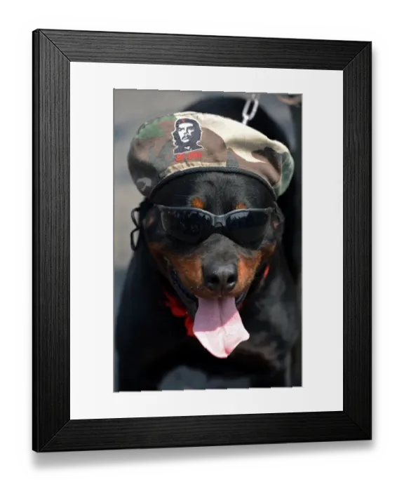 Framed Print : Honduras-May Day Framed Print : Honduras-May Day
