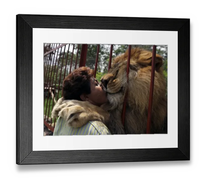 Framed Print : Colombia-Animals-Shelter-Villa Lorena